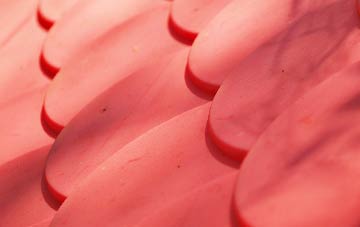 Beckery plastic roof costs